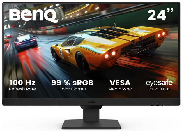 BenQ 24inch display